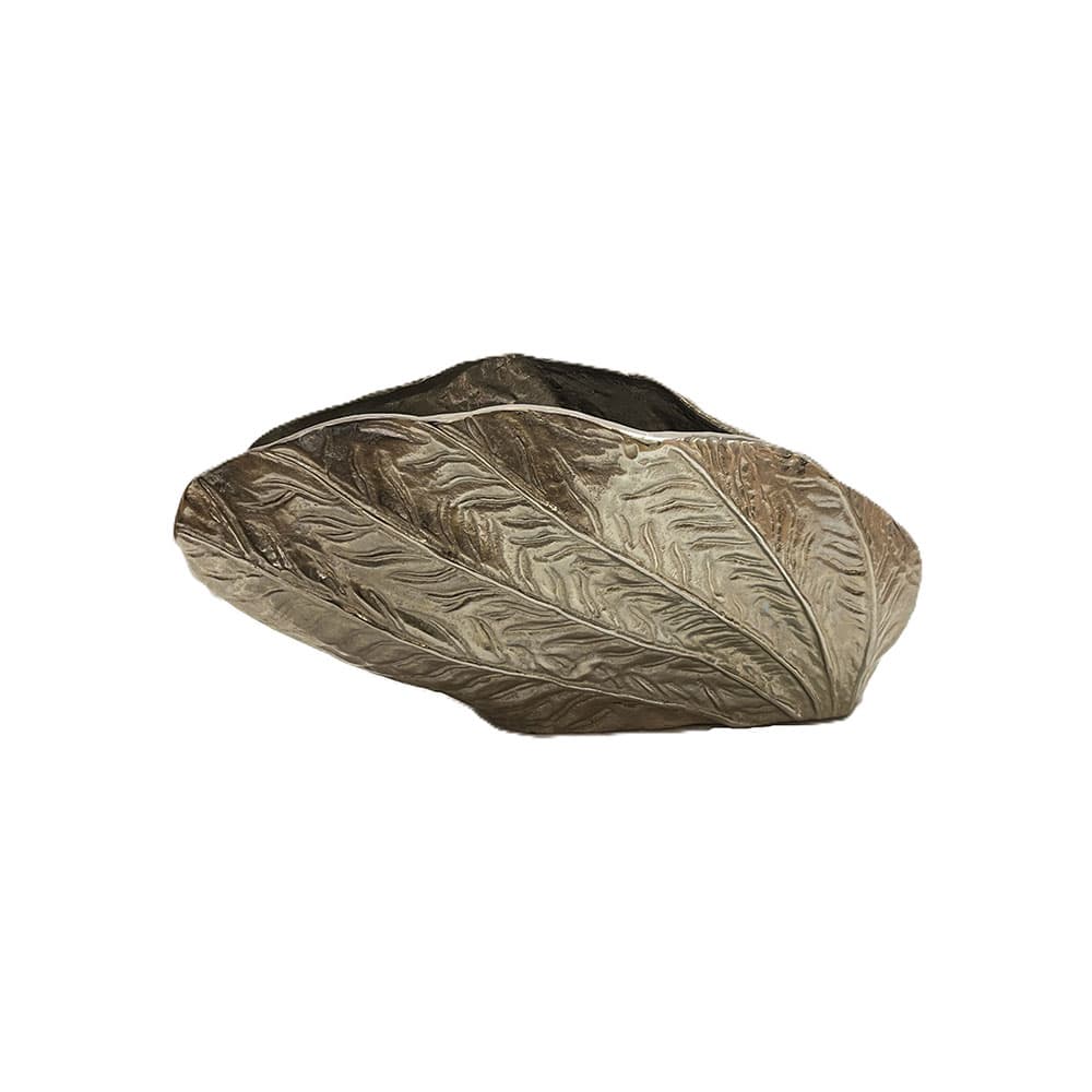 گلدان خوابیده صدفی کوچک